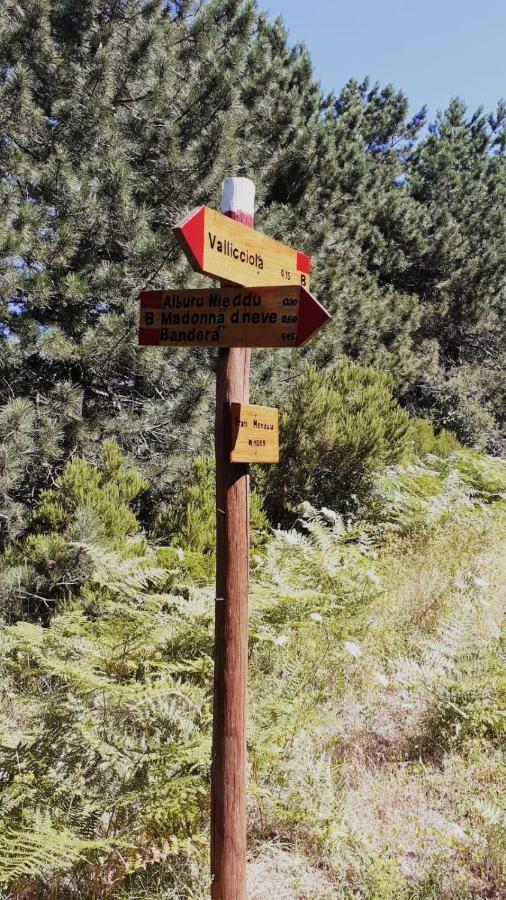 Vallicciola Nature 4*