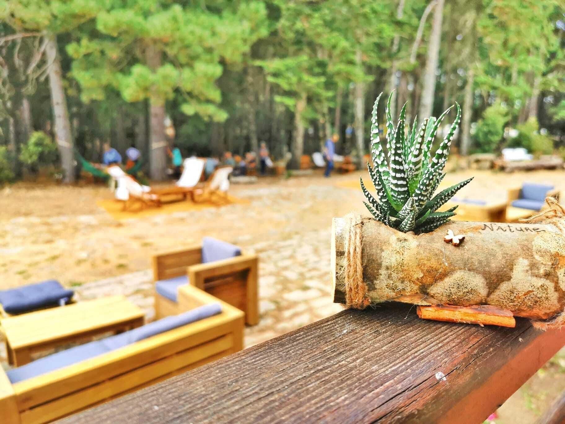 Vallicciola Nature Hotel 4*