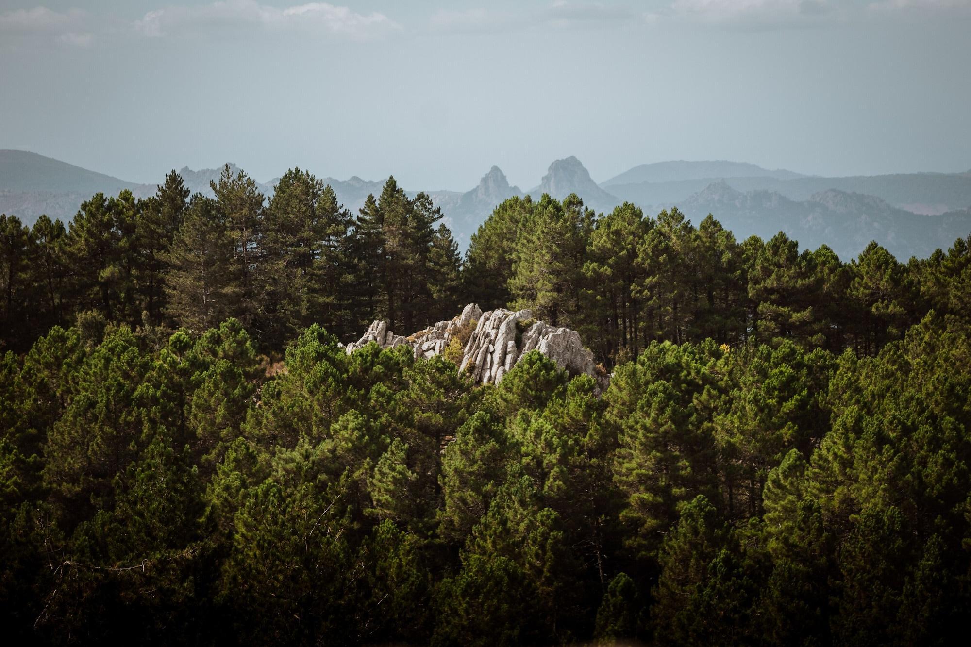 Vallicciola Nature Hotel 4*